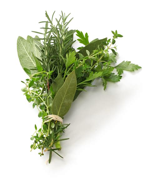 Herbes Aromatiques Pour Nettoyer Et Détoxifier Lorganisme