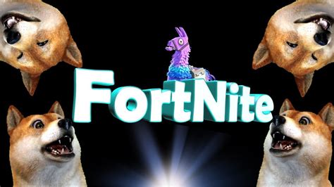 Fortnite With Doge Youtube