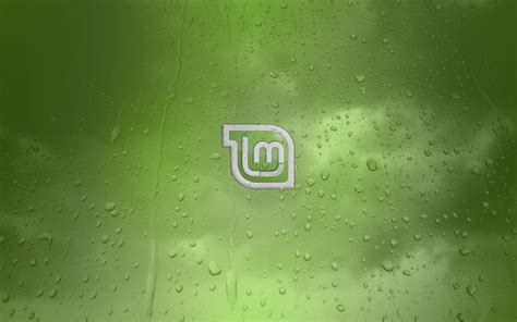 Green Linux Texture Circle Gnu Linux Mint Leaf Drop Line Screenshot Computer
