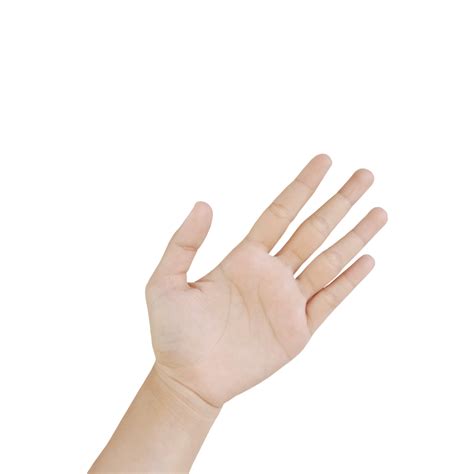 Female Hand Png Download Free Png Images