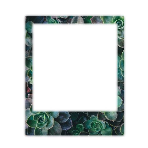#freetoedit#polaroid #frame #border #green #remixed from @freetoedit in 2020 | Polaroid frame ...