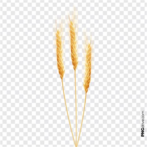 Wheat clipart piece wheat, Wheat piece wheat Transparent FREE for 