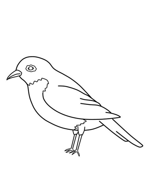 American Robin Bird Coloring Page Kids Play Color