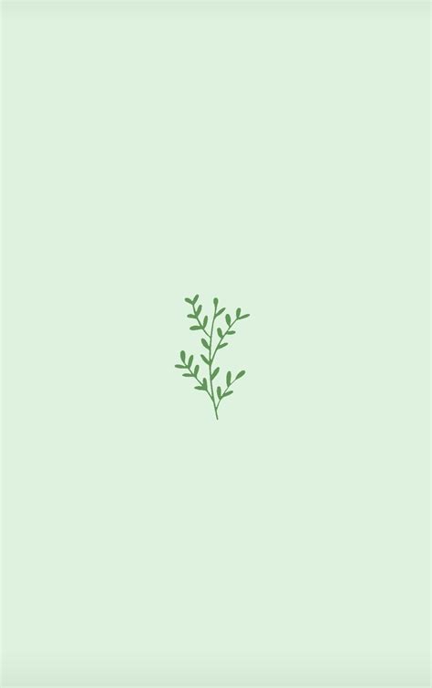 Minimalist Wallpaper Aesthetic Sage Green Background - Draw-spatula