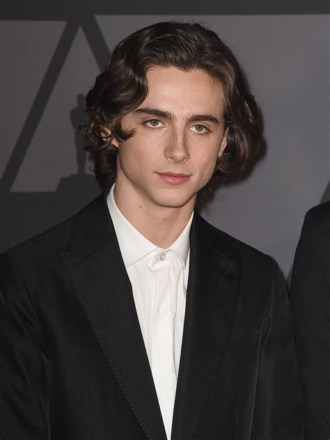 Timothée Chalamet 5 Fast Facts You Need To Know