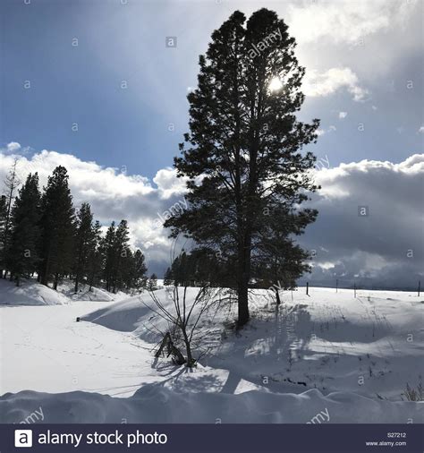 Snow Day In Whitefish Montana Stock Photo Alamy