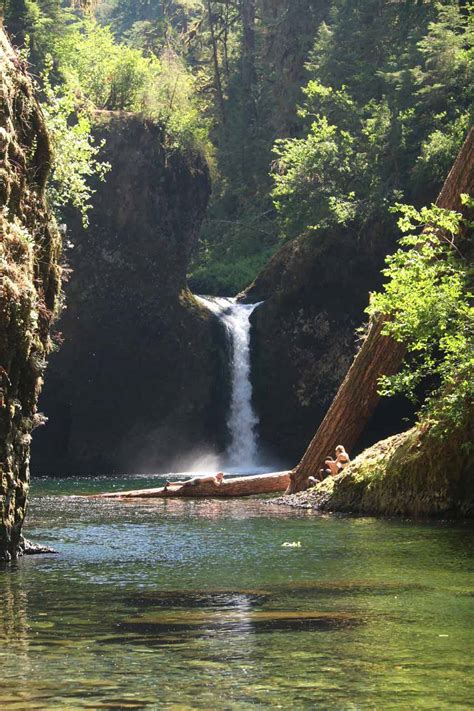 Punch Bowl Falls Popular Waterfall On The Eagle Creek Hike