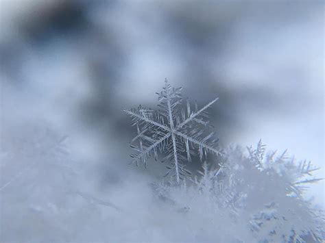 Largest Snowflake In The World Fell In Montana Over 100 Years Ago