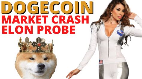 Get dogecoin view on github. DogeCoin PROBE News, Predictions, Update | CAN DOGE get to ...