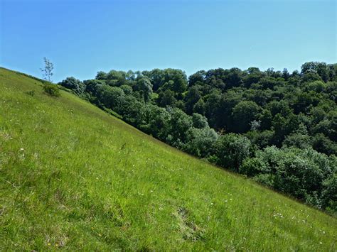 Photographs Of Swifts Hill Nature Reserve Gloucestershire England