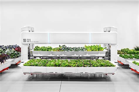 The Future Of Indoor Agriculture Is Vertical Farms Run By Robots Engadget