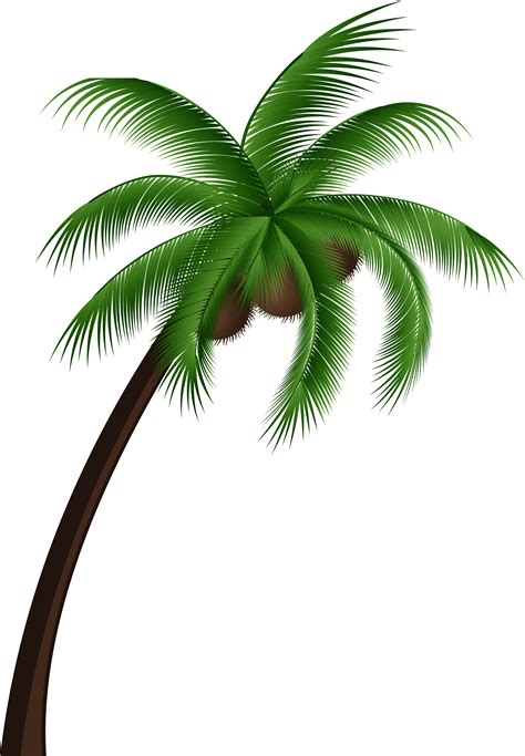 Download Coconut Palm Tree Png Clip Art Coconut Tree Vector Png