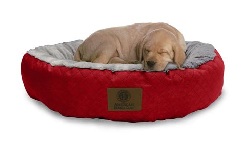 akc diamond quilted large  pet bed groupon