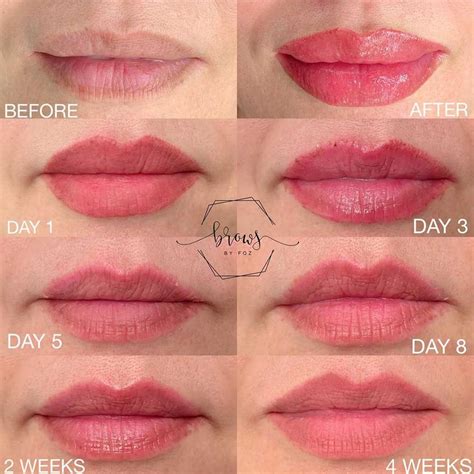 Lip Blush Healing Process Day By Day Timeline And Stages Lip