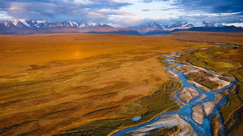 Keep The Arctic Wildlife Refuge Safe Audubon