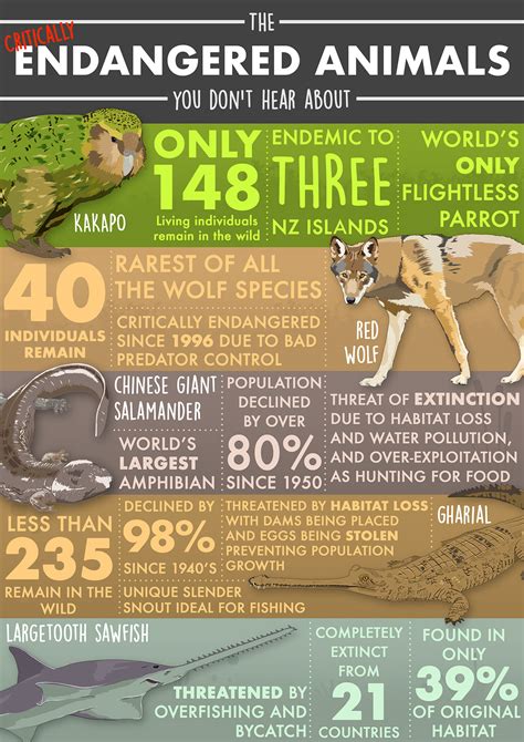 Endangered Wildlife Infographic On Behance