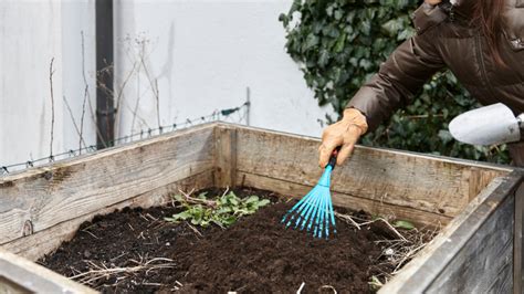 Preparing Garden Beds For Early Planting Kslnewsradio