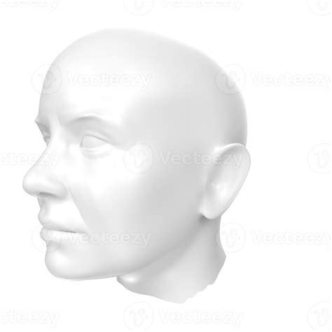3d Rendering Of Human Bust 18065603 Png