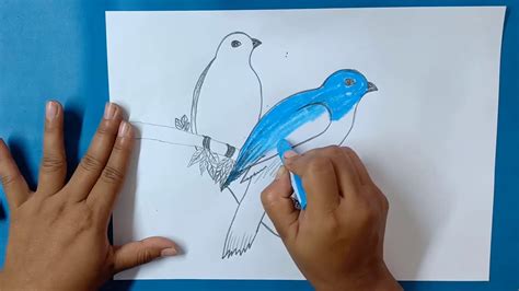 By the end of this month, you too will be. How to Draw a Blue Bird - EASY Step by Step Tutorial |Blue ...