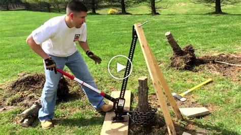 Remove Tree Stump With Hi Lift Jack Canvids