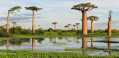 33 Facts About Madagascar