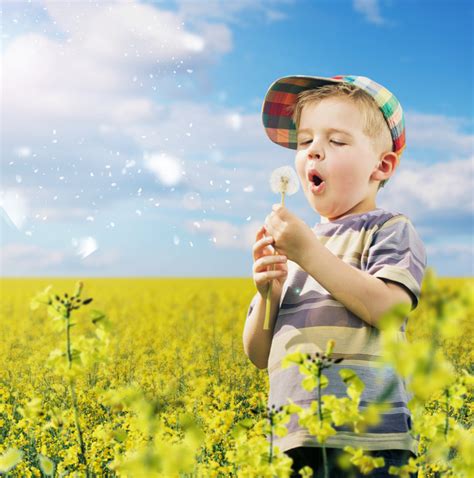 Little Boy Blowing Dandelion Flower Stock Photo Free Download