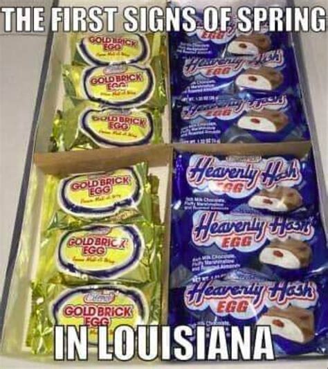 19 Funny Memes Youll Only Get If Youre From New Orleans