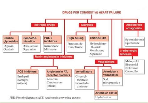 Classification Of Cardiovascular Drugs