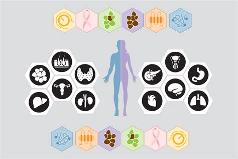 Human protein atlas ретвитнул(а) human proteome. Proteine Atlas Rat : Frontiers Casein Kinase 1 Delta ...