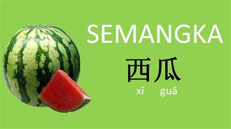 Semangka Dalam Bahasa Mandarin Buah Buahan Belajar Kosakata