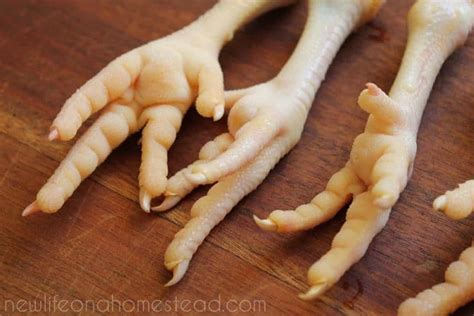 How To Peel Chicken Feet And Prepare Them To Cook New Life On A