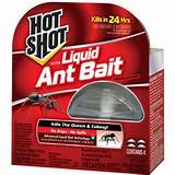 Ant Control Bait Photos