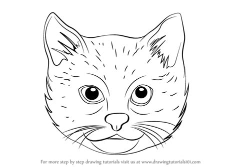 Learn How To Draw A Cat Face Cats Step By Step Drawing