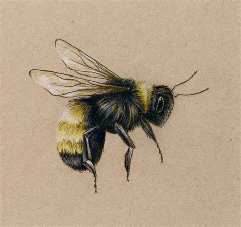 Bee Art Print Drawing Colored Pencil Bee Flying Bee Art Bee