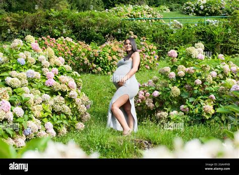 Young Pregnant Brazilian Woman Touching Her Belly In A Garden Stock