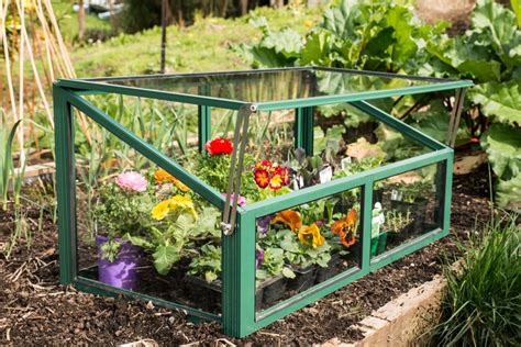 Winter Gardenz Manufacture A Range Of Mini Greenhouses Cold Frames