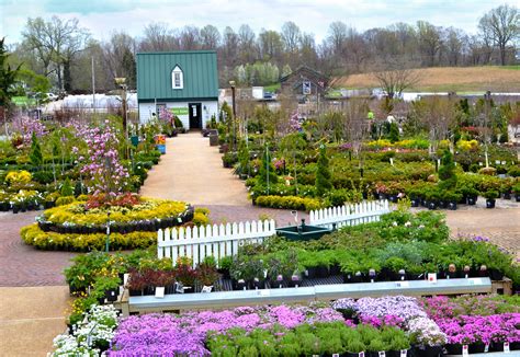 homestead-gardens-nursery-yard-2 - Homestead Gardens, Inc.