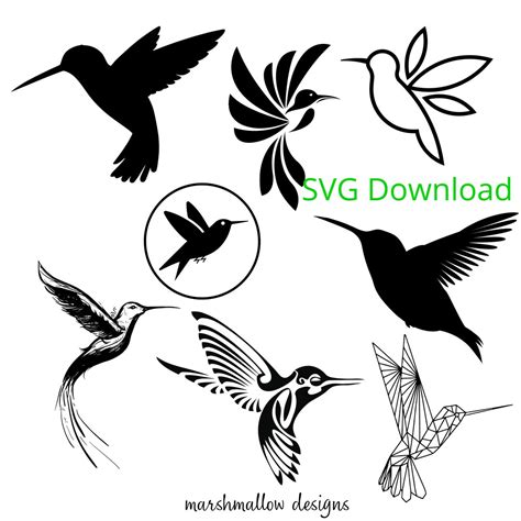 Hummingbird Svg Digital Download Etsy