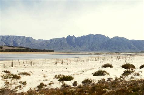 The highways are busier, locals are enjoying hiking trails again and it's back to business for most. Level 5 water restrictions implemented in Cape Town: what ...