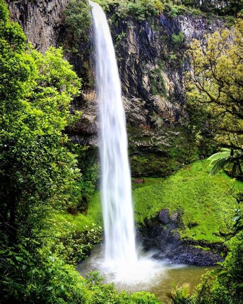 New Zealand Waterfall Famous Waterfalls Forest Waterfall