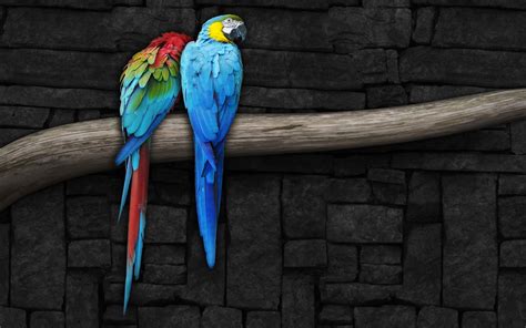 Parrot Full Hd Wallpapers Parrot Wallpapers Parrot Hd