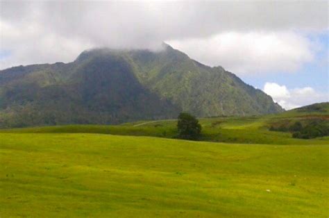 Cara memainkannya adalah dengan dipetik. Fulan Fehan