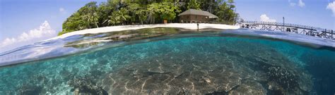 Here's a list of translations. Malaysia: Above and Below | Caradonna Adventures