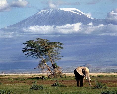 Tanzania Safari Destination Travel Deals Climbing Kilimanjaro