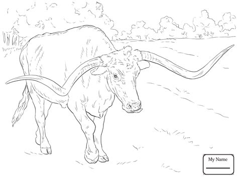 Get free printable rodeo coloring pages with rodeo events. The best free Bucking coloring page images. Download from ...