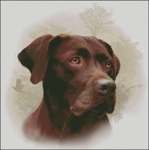 The chart is in black and white using symbols to differentiate the. Chocolate Labrador Counted Cross Stitch Pattern | Shinysun ...