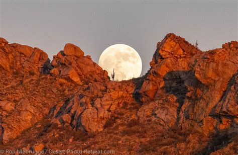 Desert Moon Photo Blog Niebrugge Images