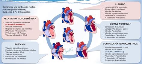 FisiologÍa Del CorazÓn Heart Physiology