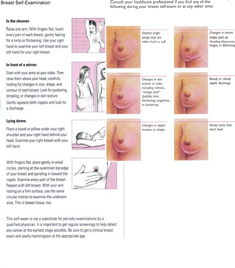 Breast self examination (bse) is a healthy practice for women to detect early signs of breast cancer. Women's Health and Education Center (WHEC) - Breast Cancer ...