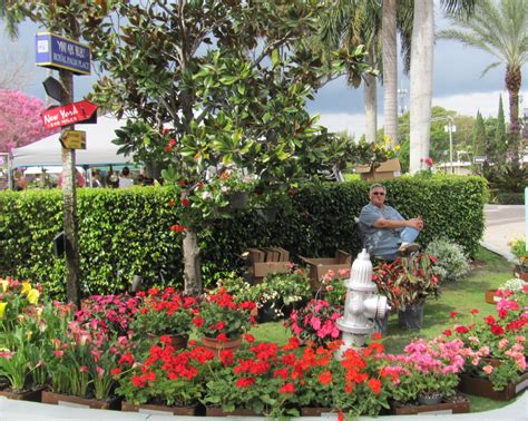 boca raton green market moving after 22 years boca raton s most reliable news source boca